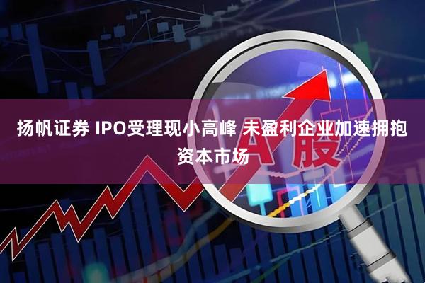 扬帆证券 IPO受理现小高峰 未盈利企业加速拥抱资本市场