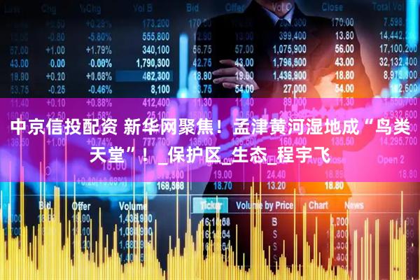 中京信投配资 新华网聚焦！孟津黄河湿地成“鸟类天堂”！_保护区_生态_程宇飞