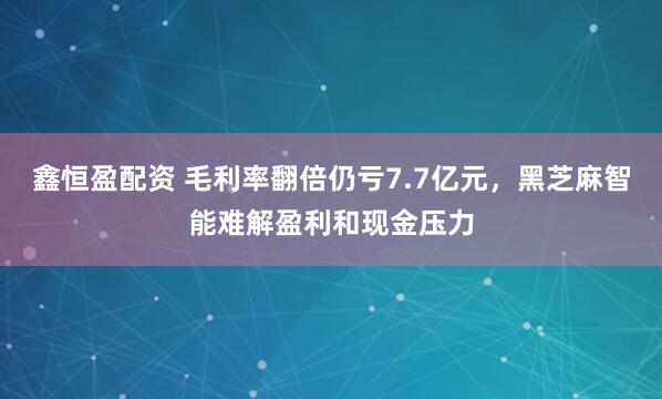鑫恒盈配资 毛利率翻倍仍亏7.7亿元，黑芝麻智能难解盈利和现金压力